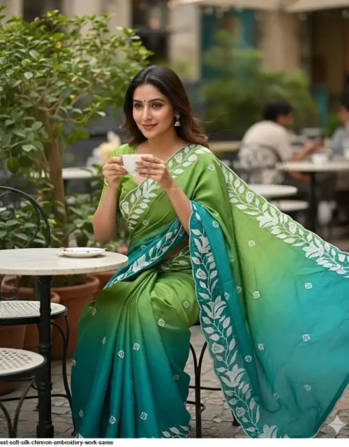 Soft Silk Chinnon Embroidery with Blouse