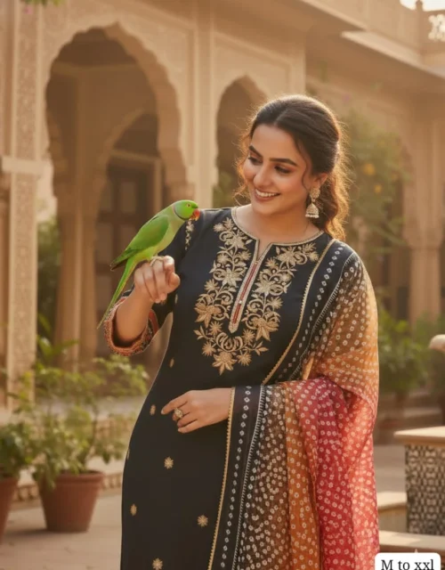 Embroidery Work Cotton Churidar - Black